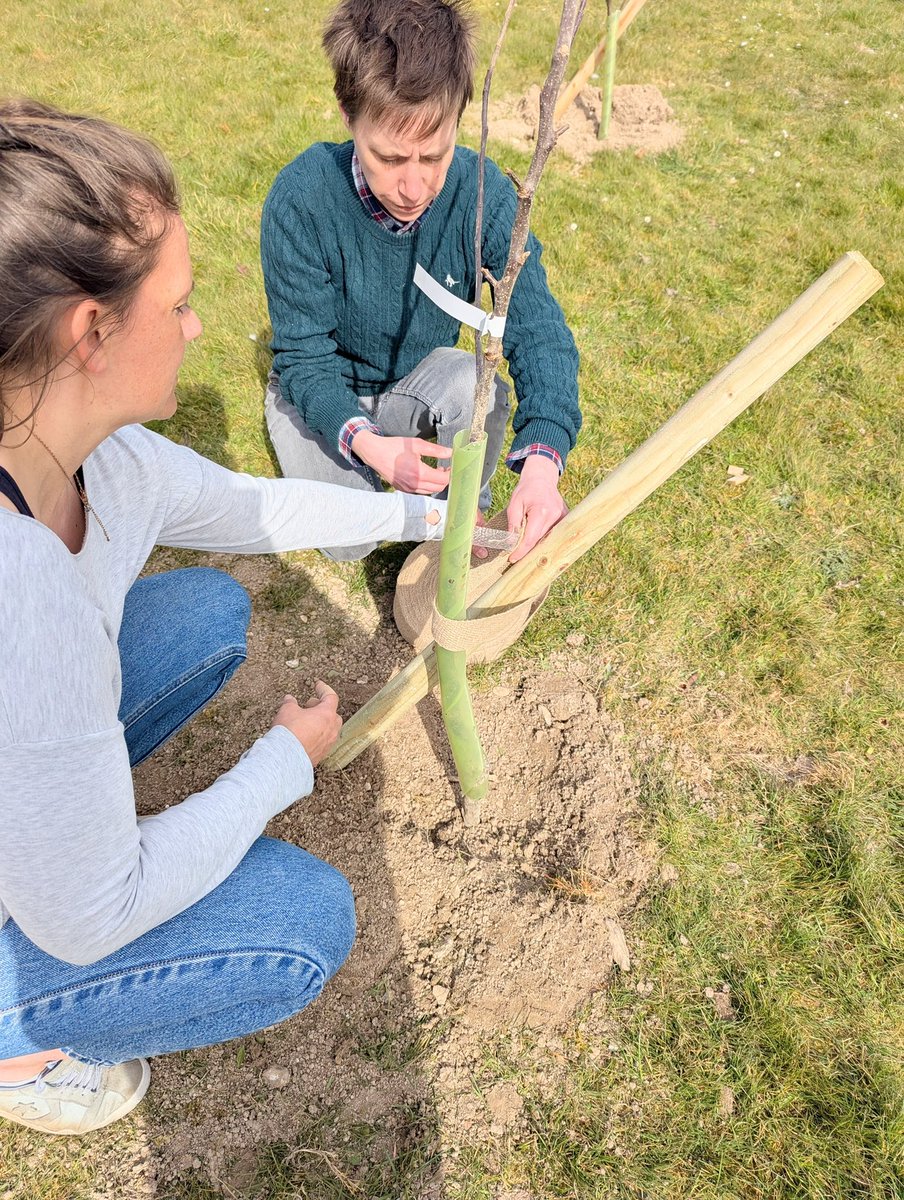 Pitton School tweet media