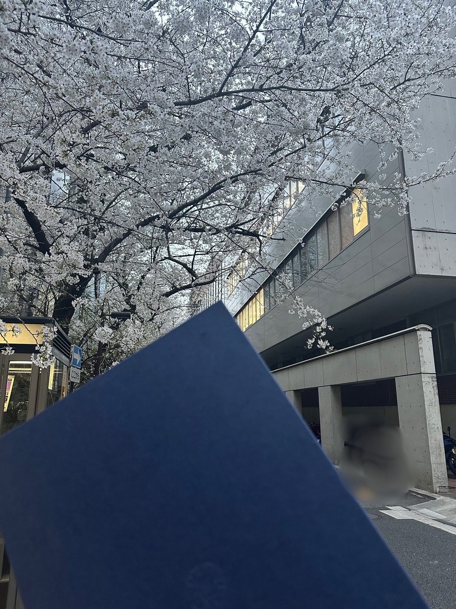 feather_kks's tweet photo. 東京で1番綺麗な桜
見納め https://t.co/mXE9lOaKEA