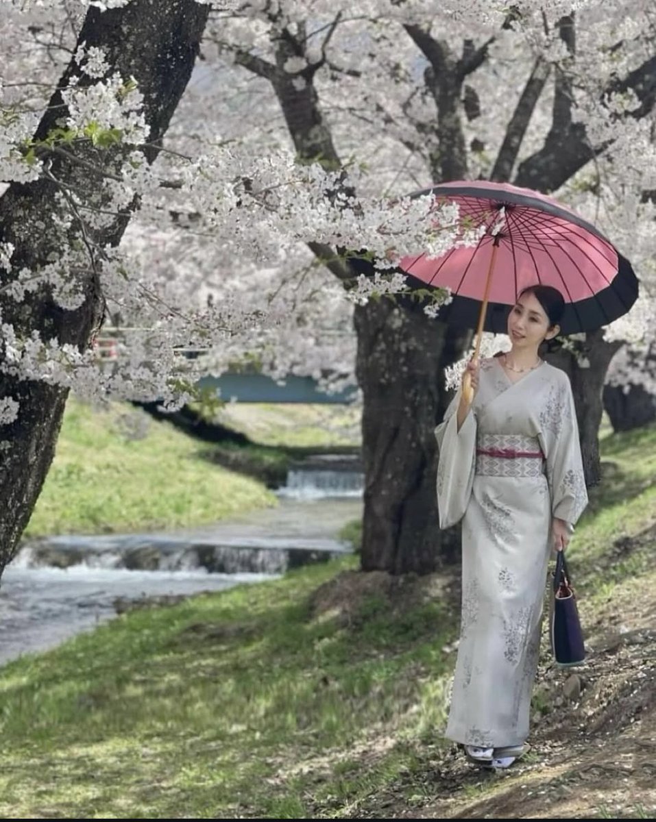 \春です🌸/
桜はやっぱり綺麗ですぐに散るから美しい✨
こんな景色が日常で見れるのは、日本人で良かったと思えるとき。

桜と着物は、とても合うと思います。

お花見の時も、甚五郎の着物なら汚れても洗えるので
気軽に着て出掛けられます👘

#仕立屋甚五郎 #29秒で着れる着物 #簡単着物 #着物コーデ