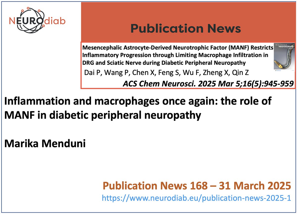 Inflammation and macrophages once again: the role of MANF in diabetic peripheral neuropathy
On Neurodiab website a signaling of articles on #diabeticneuropathy
The 168th NEUROdiab Publication News is by Marika Menduni
(neurodiab.eu/publication-ne…)