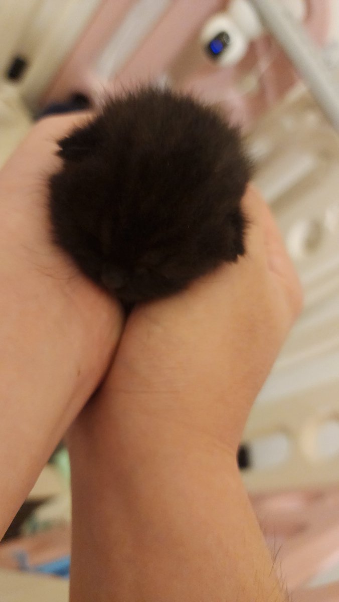 He's good♡ thankfully 
But he still on tube feed ...