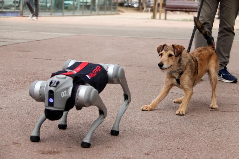 Happy Monday! This week's top #tech &amp; #startup stories:
🤝 M&amp;A platform Deale celebrates 100+ SME transactions totaling €400M 
✈️ LEVEL soars with over 625K seats between BCN &amp; US
🐕 Robot dog meets BCN to help spread assistive technology 
Full overview: barcinno.beehiiv.com/subscribe