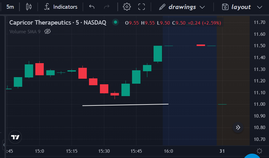 CoachNickMoney's tweet photo. $CAPR formed a bull cup pattern here https://t.co/o6HpA65Vlp