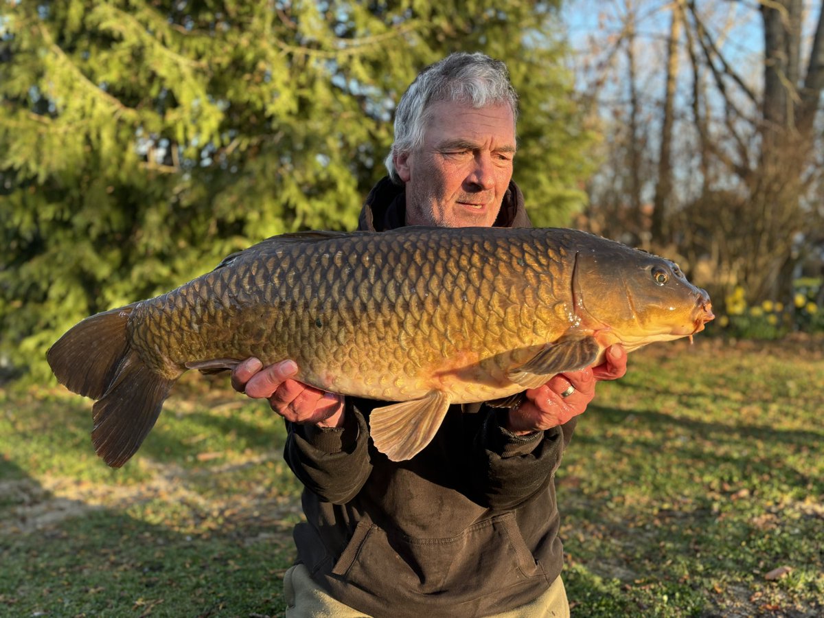 Awesome start to the week a lovely 20.2lb bar of hard fighting gold. They are finally waking up