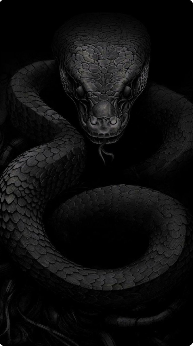 𝐓𝐡𝐞 𝐬𝐧𝐚𝐤𝐞: 
rebirth
transformation
evil 
temptation
Immortality
Sexual desire….