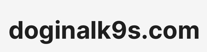We are still minting but in the mean time the building wont stop, very excited to announce we have secured DoginalK9s.com domain name!

We are starting to build our website!

Ps our giveaway is coming close to an end! Make sure your entered!
 
More news to come later