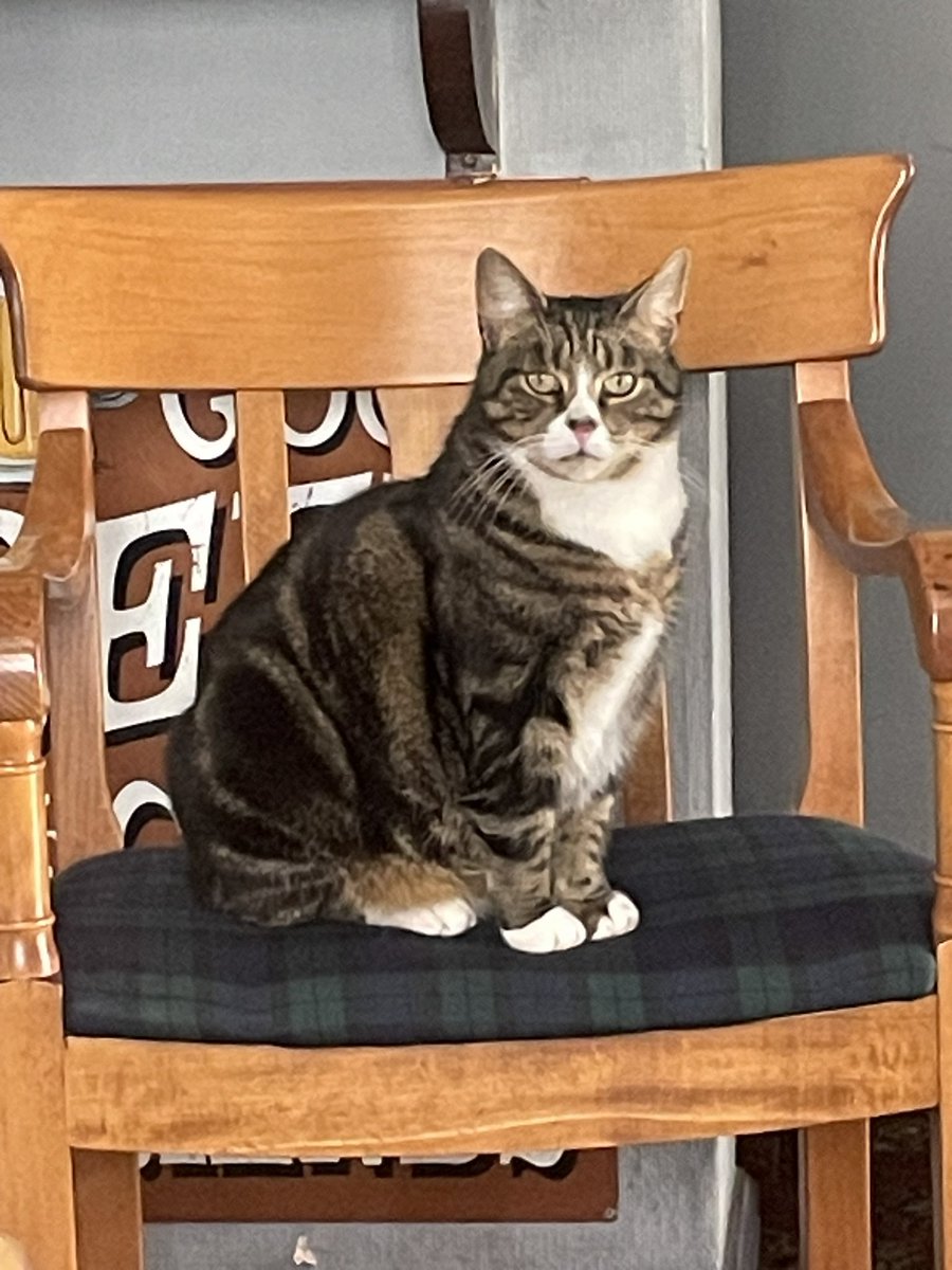 we will not be  hosting another open Mic night,started off really well but has declined the last few times without anybody turning up so we give it a go, didn’t work out for us good luck to anybody hosting one in the future. you will just have to come and stare at the cat instead