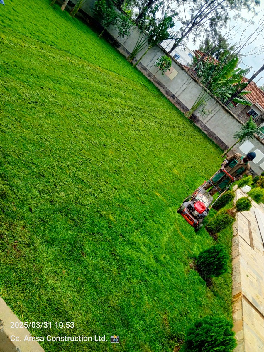 Time to trim✨🔥