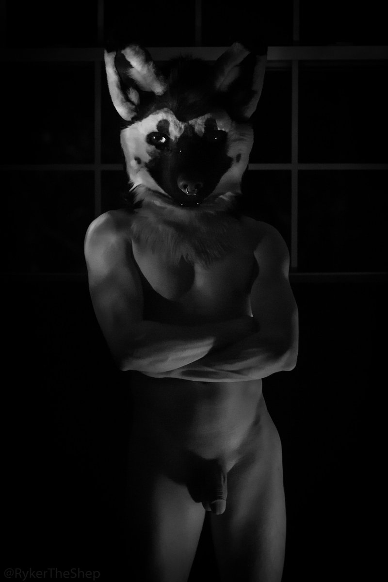 Hey puppy,

Welcome home.