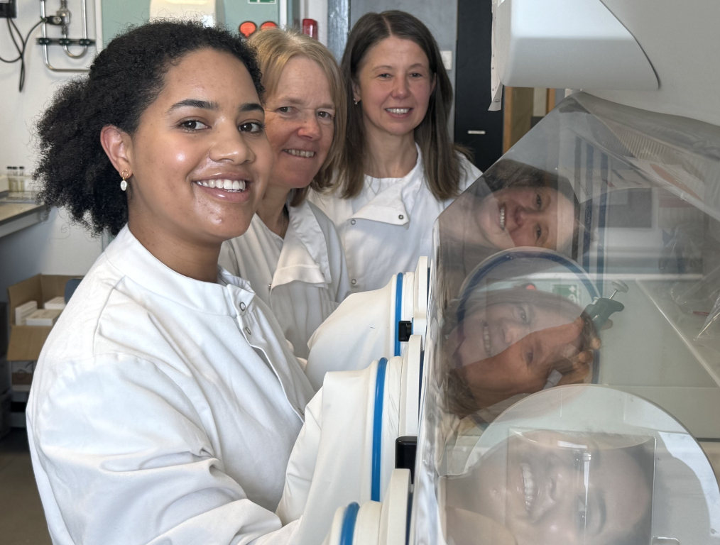 University of Aberdeen (@aberdeenuni) on Twitter photo Can "good bacteria" be used to maintain good health as we grow older? Scottish biotech company <a href="/ncimb/">NCIMB Ltd</a> has teamed-up with the pioneering <a href="/rowett_abdn/">Rowett Institute</a> at the University of Aberdeen, to address this question in a new research project, funded by <a href="/innovateuk/">Innovate UK</a>. Discover more at Can "good bacteria" be used to maintain good health as we grow older? Scottish biotech company <a href="/ncimb/">NCIMB Ltd</a> has teamed-up with the pioneering <a href="/rowett_abdn/">Rowett Institute</a> at the University of Aberdeen, to address this question in a new research project, funded by <a href="/innovateuk/">Innovate UK</a>. Discover more at