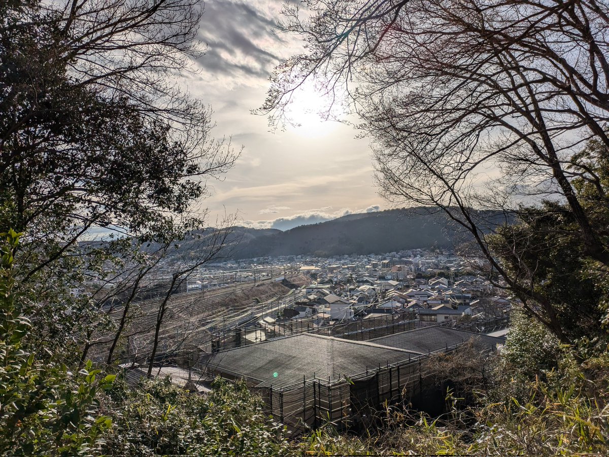 TorahTekoSamuel's tweet photo. 花見には
まだ少しだけ
���かった
川沿い歩き
景色に浸る https://t.co/S1j45dgynF