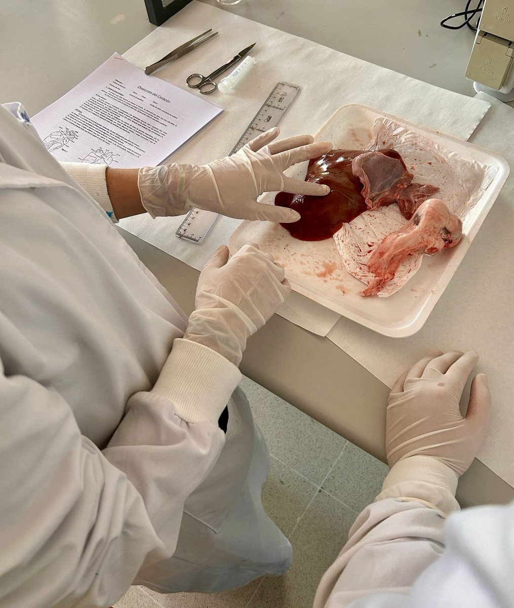 Ceo La Sierra tweet media