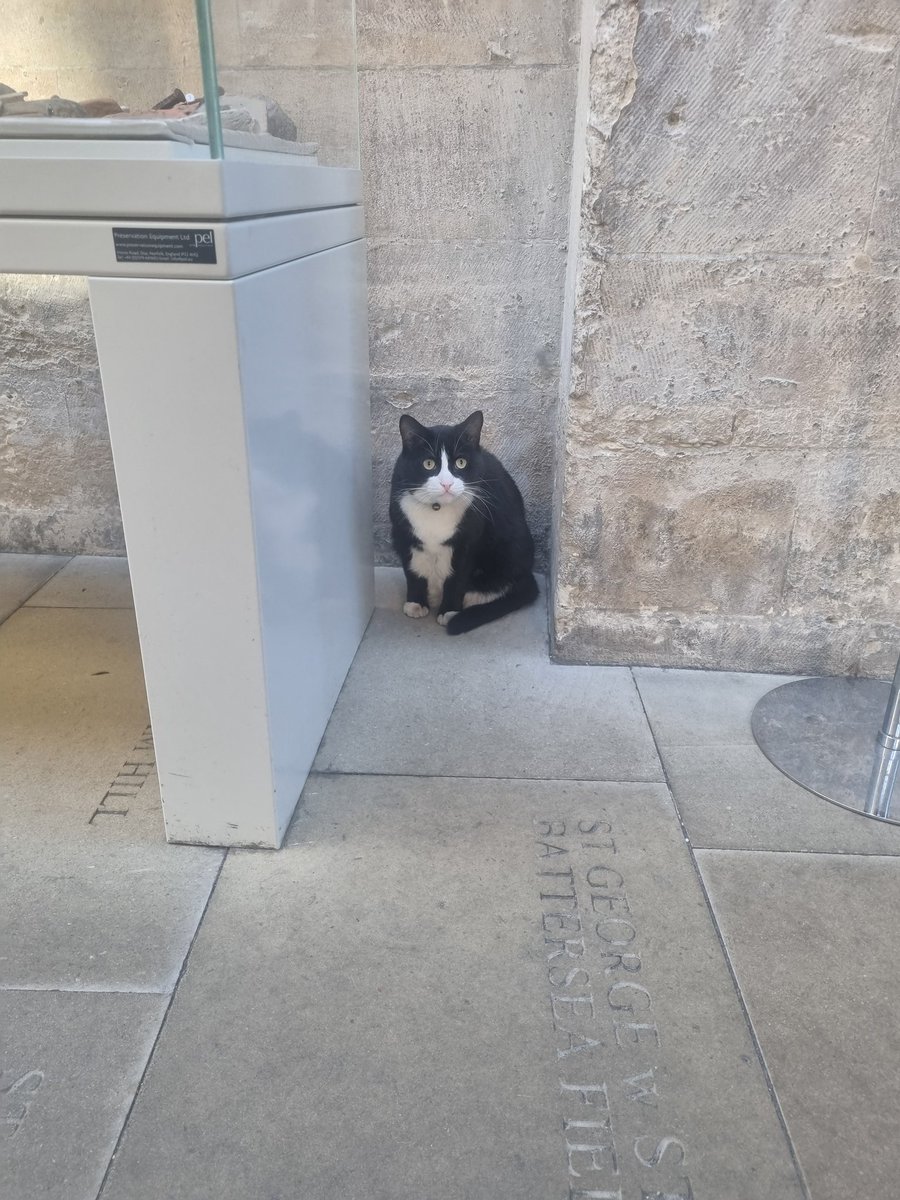 Nice to be greeted by <a href="/HodgeTheCat/">Hodge</a> on my way to practice the organ for my recital <a href="/Southwarkcathed/">Southwark Cathedral</a> today!