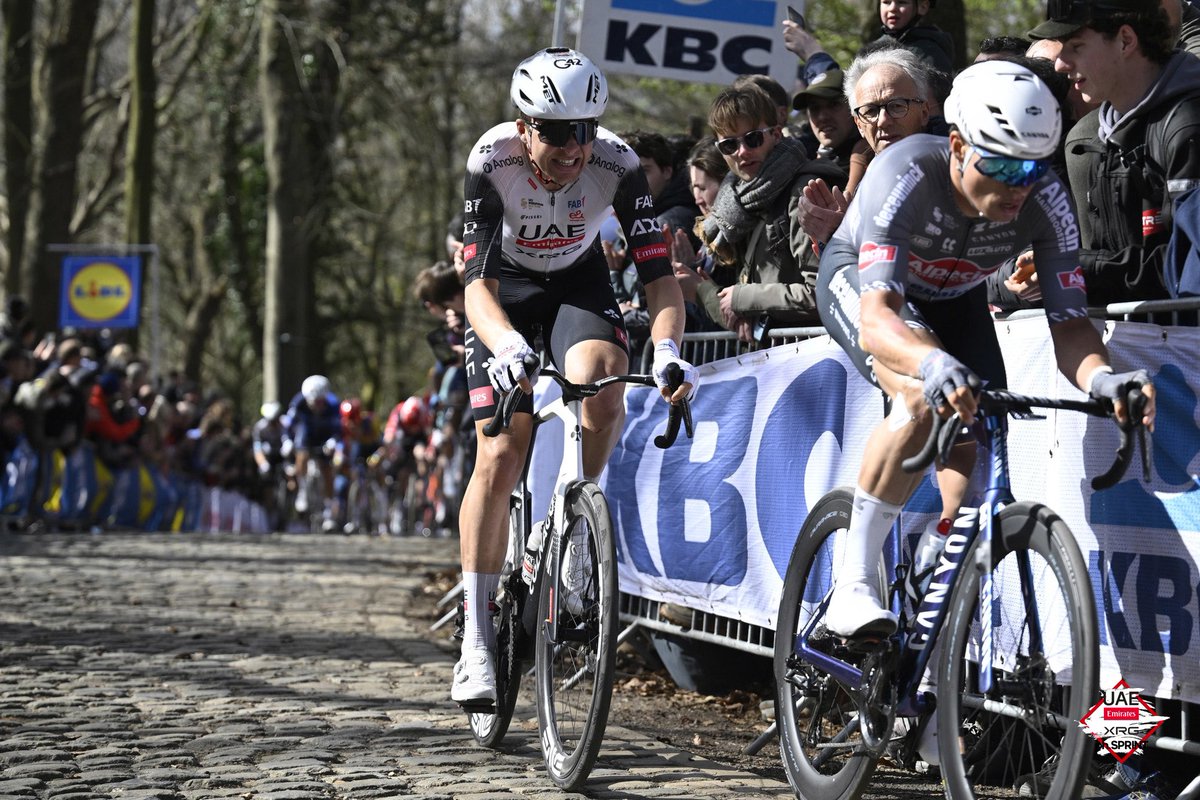 TeamEmiratesUAE's tweet image. The Classics grind continues🪨.

Next stop: @DwarsdrVlaander 🇧🇪.

#WeAreUAE