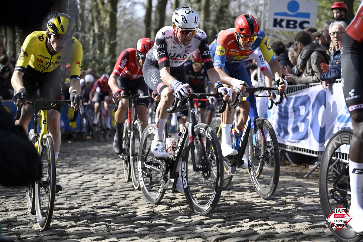 TeamEmiratesUAE's tweet image. The Classics grind continues🪨.

Next stop: @DwarsdrVlaander 🇧🇪.

#WeAreUAE