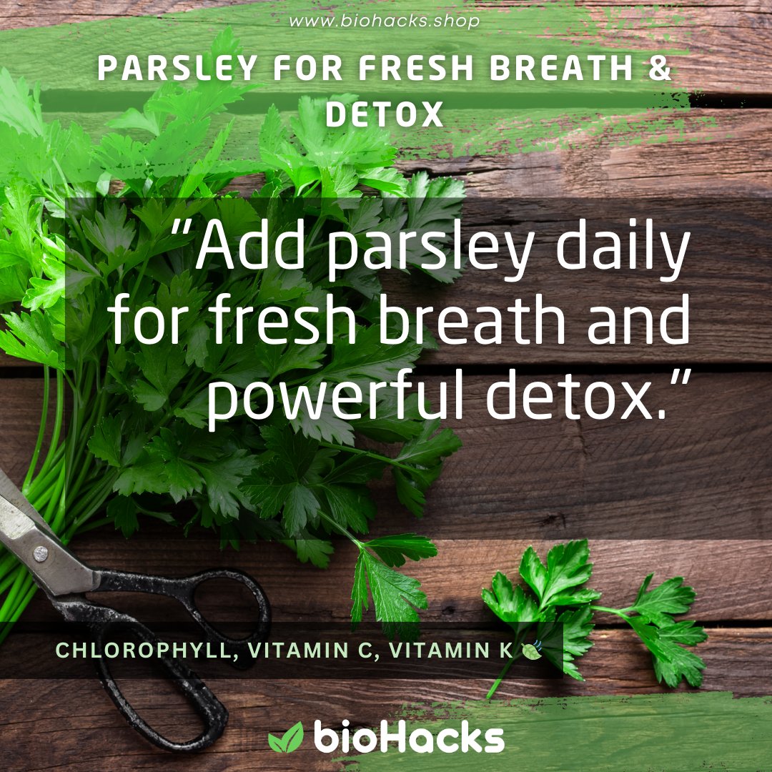 biohacks_'s tweet photo. Parsley for Fresh Breath &amp; Detox
Parsley freshens breath naturally and provides powerful detoxification.
#ParsleyBenefits #Detox #FreshBreath #NaturalHealth #Biohacks https://t.co/4G2qgcwI8s
