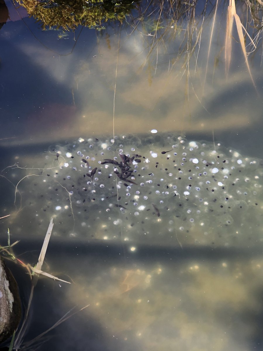 KAY DURDEN tweet media