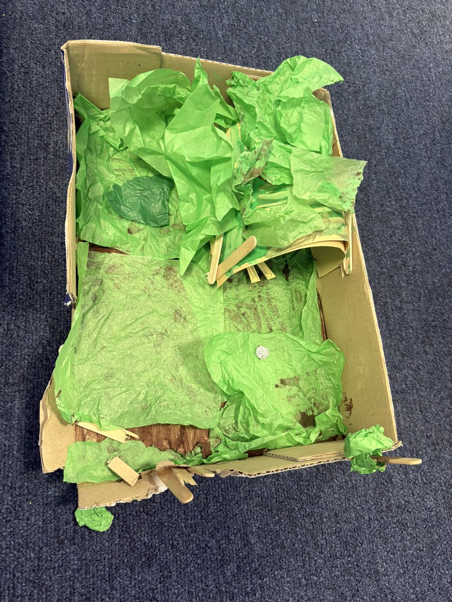 Year 6 Sinéad O’Hart Class tweet media