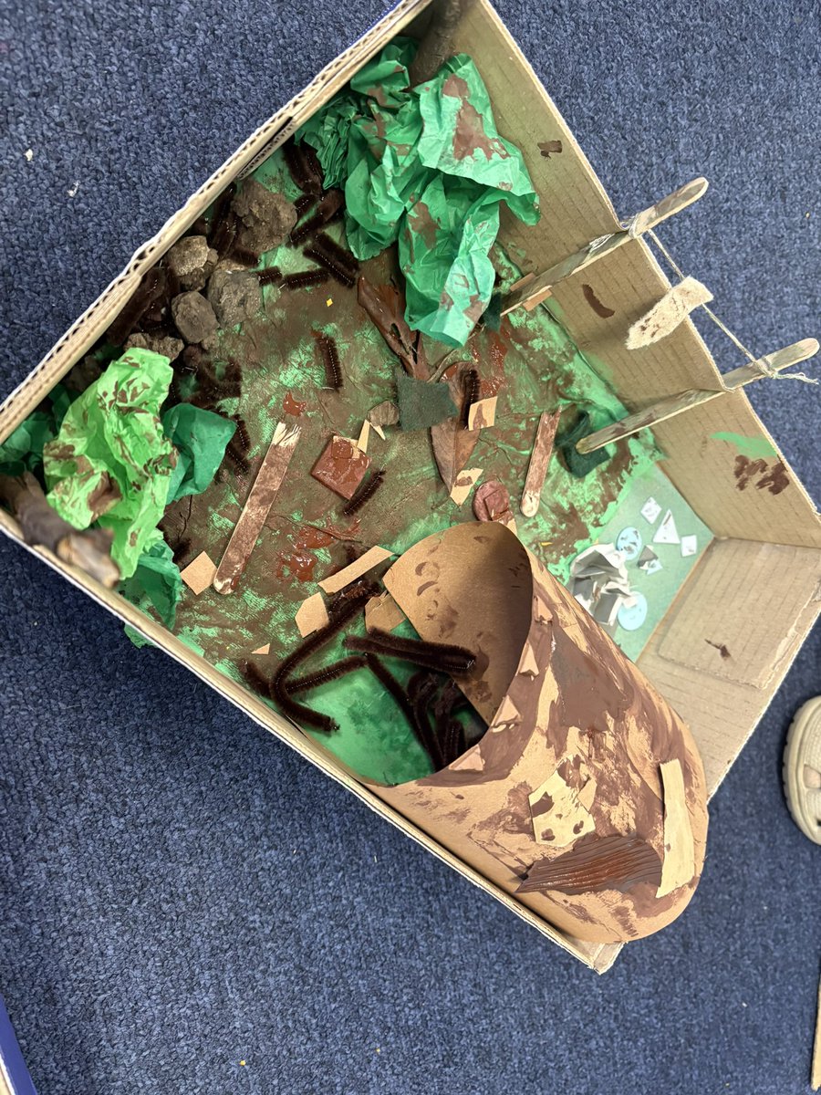 Year 6 Sinéad O’Hart Class tweet media