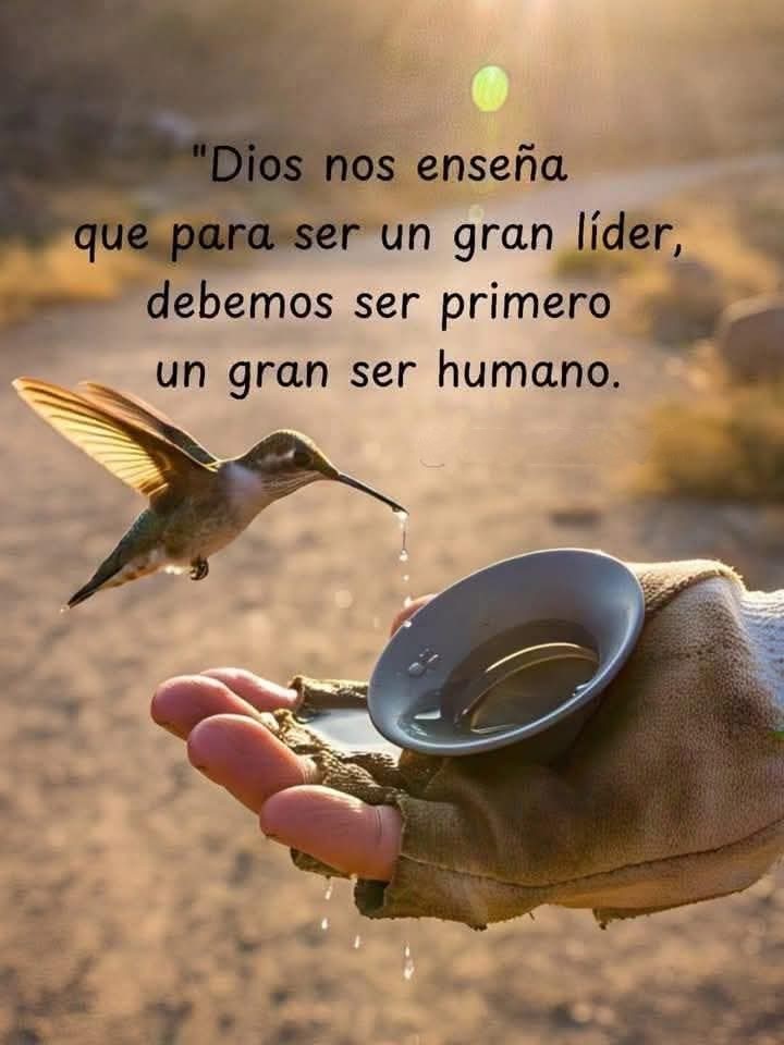 Mensajesluz🕉 (@mensajesluz) on Twitter photo <a href="/ArlindoFerreir4/">Arlindo Ferreira</a> <a href="/LopezyValiente/">Toñi Valiente. ® ™</a> <a href="/MAGLORIAVILLEG1/">MA.GLORIA VILLEGAS DURAN</a> <a href="/AELHUZ/">ALMA, EL PODER DE LA ORACION</a> <a href="/efraguza/">EFRAIN GUTIERREZ Z.</a> <a href="/Edward733/">ஜ۩ღEdward Simღ۩ஜ 심상갑</a> <a href="/EmelindaPicadoG/">Emelinda Picado Godí</a> <a href="/d_mhg2014/">María H. G.</a> <a href="/d_mhg/">Maria H. G.</a> <a href="/EfrainBrreraAlv/">Efraín Barrera A.</a> <a href="/RosariodelCdeV1/">Rosario del C de Vasquez</a> <a href="/esedonluis64/">Luis Peña</a> <a href="/hada_protectora/">♥♥Hada Protectora♥♥</a> <a href="/LMHH/">Loren M Hernandez H.</a> <a href="/alex1869126097/">alex18_AMT</a> <a href="/ss_gladys/">Gladys Nohemi</a> <a href="/lepetitportcord/">le petit port cordon</a> <a href="/bernardo_98364/">Sawamura en la red</a> <a href="/latiatt/">María Teresita</a> <a href="/PONCHOAGOPLA/">Poncho Gómez-Plaza</a> <a href="/buguitabuguita/">Elizabeth Ferraro</a> <a href="/sanjay29599124/">Sanjay Tiwari Azad</a> <a href="/norita3329/">Nora....</a> <a href="/MIBramajo/">Maria Ines Bramajo, Feliz 2023...❤️🇦🇷💙</a> <a href="/JLContrerasArt/">Jorge Contreras Art</a> <a href="/ahinamendez/">ahinamendez DM 🚫</a> <a href="/NievesAsensi/">Nieves Perez asensi</a> <a href="/Gladis_Ag/">Gla!</a> <a href="/pgnora/">Nora Piña Ghazzaoui</a> <a href="/hildamarcano39/">hillda marcano</a> <a href="/CitraroTorres/">Mariella Torres Citraro</a> <a href="/saulastam/">Sastam_25</a> <a href="/XimPete/">Familia Olguin Pobl</a> <a href="/Nelidarojasb3/">Nelidarojasb</a> <a href="/PulidoSolange/">Ningún Lugar está Lejos. 🇻🇪</a> <a href="/anysogo/">ANA MARÍA SOGO</a> <a href="/OmairaCorreo/">Omaira De Cobo</a> <a href="/Anauj_maces/">Caro Macias</a> <a href="/steligarcia/">Sonia Garcia</a> <a href="/kitty_sanrio1/">Lic Laura Perez</a> <a href="/mamaruza78/">Mamaruza</a> <a href="/MaryGom31034524/">Mary Gomez</a> <a href="/igsaGsanchez/">igsa sanchez</a> <a href="/GomezLuisE/">Luis Enrique Gómez Osorio</a> <a href="/FermnEstevez2/">Fermín. Estevez.</a> <a href="/AGMRedMylene/">🍒🥀🦋simply_Red🦋🥀🍒</a> <a href="/CarlosA98725897/">Carlos Aguilar</a> <a href="/FERMN01924143/">FERMÍN</a> Muy Buenos Días... <a href="/ArlindoFerreir4/">Arlindo Ferreira</a> <a href="/LopezyValiente/">Toñi Valiente. ® ™</a> <a href="/MAGLORIAVILLEG1/">MA.GLORIA VILLEGAS DURAN</a> <a href="/AELHUZ/">ALMA, EL PODER DE LA ORACION</a> <a href="/efraguza/">EFRAIN GUTIERREZ Z.</a> <a href="/Edward733/">ஜ۩ღEdward Simღ۩ஜ 심상갑</a> <a href="/EmelindaPicadoG/">Emelinda Picado Godí</a> <a href="/d_mhg2014/">María H. G.</a> <a href="/d_mhg/">Maria H. G.</a> <a href="/EfrainBrreraAlv/">Efraín Barrera A.</a> <a href="/RosariodelCdeV1/">Rosario del C de Vasquez</a> <a href="/esedonluis64/">Luis Peña</a> <a href="/hada_protectora/">♥♥Hada Protectora♥♥</a> <a href="/LMHH/">Loren M Hernandez H.</a> <a href="/alex1869126097/">alex18_AMT</a> <a href="/ss_gladys/">Gladys Nohemi</a> <a href="/lepetitportcord/">le petit port cordon</a> <a href="/bernardo_98364/">Sawamura en la red</a> <a href="/latiatt/">María Teresita</a> <a href="/PONCHOAGOPLA/">Poncho Gómez-Plaza</a> <a href="/buguitabuguita/">Elizabeth Ferraro</a> <a href="/sanjay29599124/">Sanjay Tiwari Azad</a> <a href="/norita3329/">Nora....</a> <a href="/MIBramajo/">Maria Ines Bramajo, Feliz 2023...❤️🇦🇷💙</a> <a href="/JLContrerasArt/">Jorge Contreras Art</a> <a href="/ahinamendez/">ahinamendez DM 🚫</a> <a href="/NievesAsensi/">Nieves Perez asensi</a> <a href="/Gladis_Ag/">Gla!</a> <a href="/pgnora/">Nora Piña Ghazzaoui</a> <a href="/hildamarcano39/">hillda marcano</a> <a href="/CitraroTorres/">Mariella Torres Citraro</a> <a href="/saulastam/">Sastam_25</a> <a href="/XimPete/">Familia Olguin Pobl</a> <a href="/Nelidarojasb3/">Nelidarojasb</a> <a href="/PulidoSolange/">Ningún Lugar está Lejos. 🇻🇪</a> <a href="/anysogo/">ANA MARÍA SOGO</a> <a href="/OmairaCorreo/">Omaira De Cobo</a> <a href="/Anauj_maces/">Caro Macias</a> <a href="/steligarcia/">Sonia Garcia</a> <a href="/kitty_sanrio1/">Lic Laura Perez</a> <a href="/mamaruza78/">Mamaruza</a> <a href="/MaryGom31034524/">Mary Gomez</a> <a href="/igsaGsanchez/">igsa sanchez</a> <a href="/GomezLuisE/">Luis Enrique Gómez Osorio</a> <a href="/FermnEstevez2/">Fermín. Estevez.</a> <a href="/AGMRedMylene/">🍒🥀🦋simply_Red🦋🥀🍒</a> <a href="/CarlosA98725897/">Carlos Aguilar</a> <a href="/FERMN01924143/">FERMÍN</a> Muy Buenos Días...