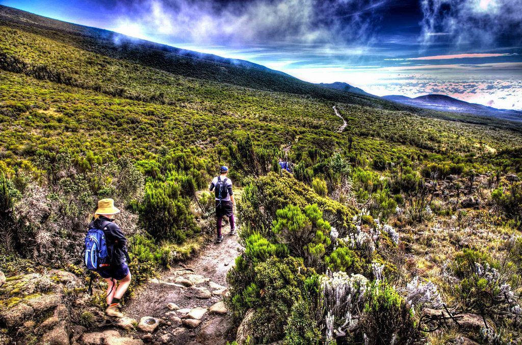 What is the best time to trek up Mount Kilimanjaro in Tanzania? buff.ly/Cm8oiNt
#kilimanjaro #tanzania #trekking #climbing