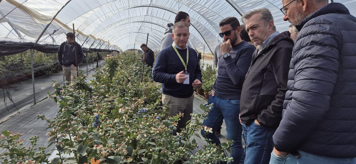 Agritech Murcia ve en la genética la clave para una agricultura sostenible y rentable murciadiario.com/articulo/secto… a través de <a href="/Murdiario/">MurciaDiario</a> 

<a href="/AgritechMurcia/">AgritechMurcia</a> 

📰Suscríbete a nuestro Boletín gratuito diario de Noticias: murciadiario.com/seccion/newsle…