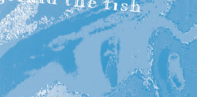 The mid-90s band Gerald the Fish. Probably hailing from Dundee, Scotland, but can't confirm. Anyone remembers them? cloudberryrecords.com/blog/?p=15201