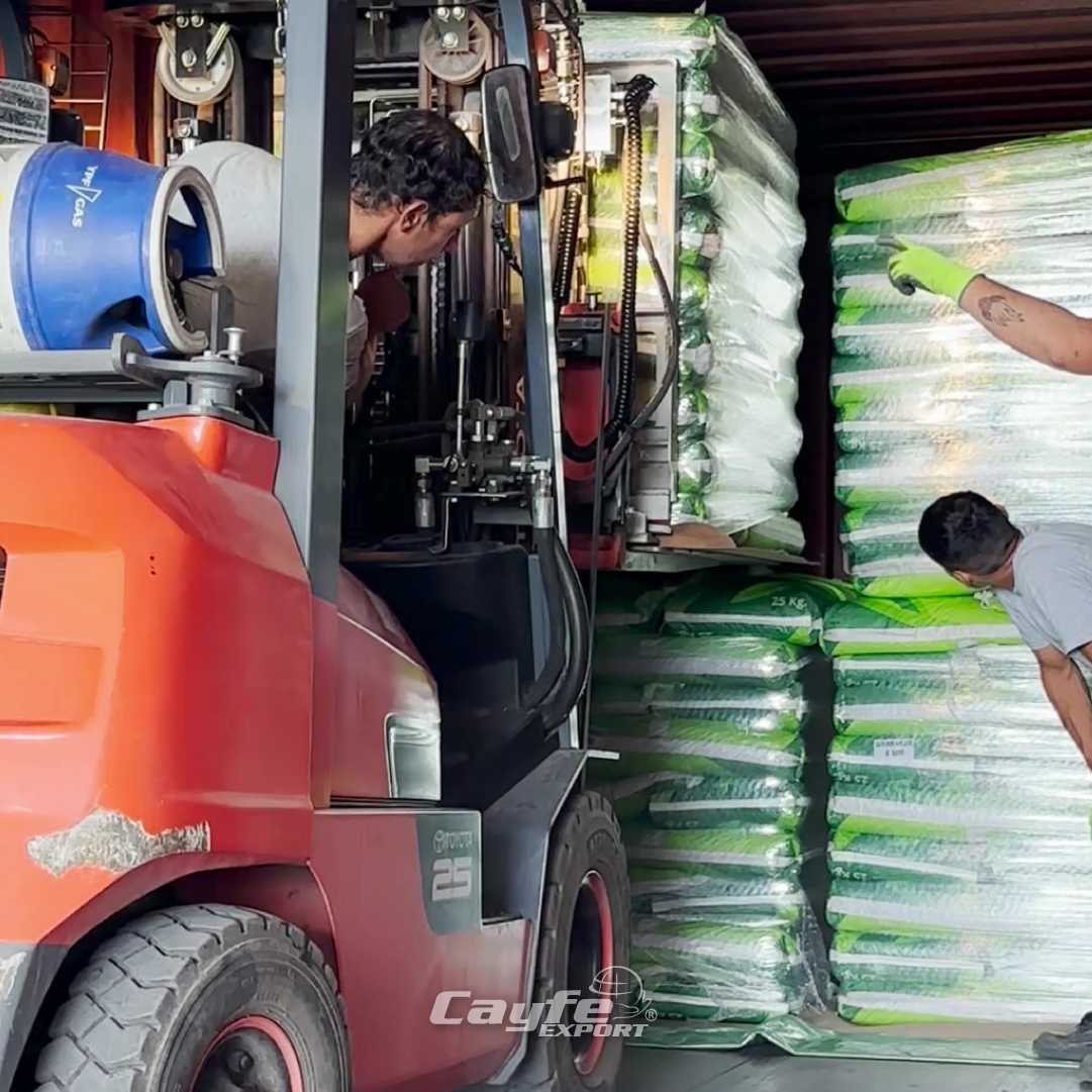 cayfe_export's tweet image. Así luce una planta lista para la exportación✅

🌱 Carga preparada
✊🏽 Equipo listo
🚛 Camiones en marcha
☑️ Reglamentación en orden
🔍 Puntos de control activados

Porque cada detalle cuenta👏🏽 Con pasión, compromiso y precisión llevamos lo mejor del campo argentino al mundo!🌎💚