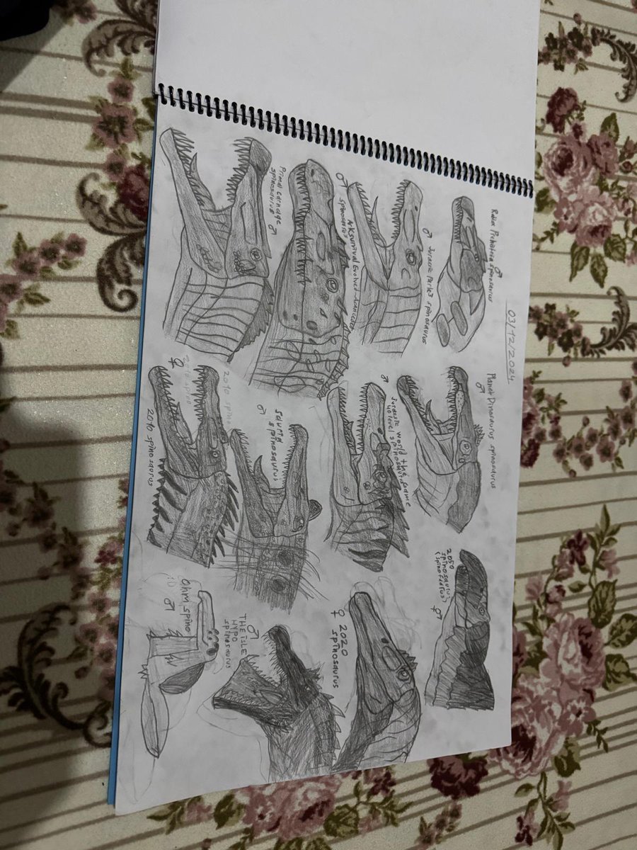 AlperenKaiju_34's tweet photo. All spinosaurs drawing 🦖🦖🐊🐊🦕🦕🐉🐉🐍🐍 #ARKSurvivalAsended #JurasicArt #JurassicWord  #sauria #primalcarnage #arkplay #arkart #ohmspino https://t.co/QtqFufiAKC