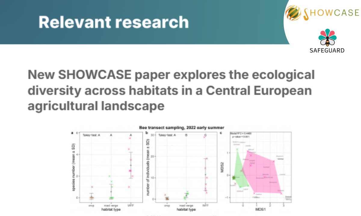 📢 One of SHOWCASE's studies is featured in the latest Safeguard newsletter! Aligned with Safeguard’s mission, this research analyses reveals key insights into supporting pollinators &amp; predators.

Read more: showcase-project.eu/news/recent-sh…