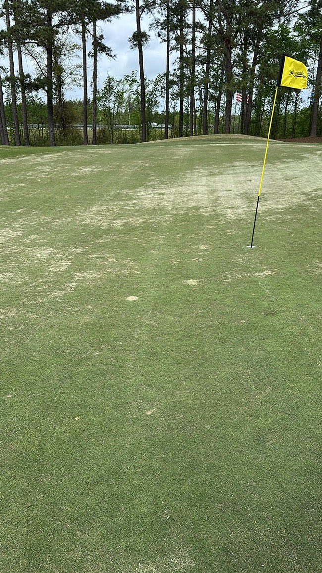 acaseofthegolf1's tweet photo. Today is the first KFT Monday Q for an event in the States.  

There are two sites. And one of the sites might have the worst Monday Q greens I've seen.  

These are 4 of 50-75 pics I've received.  All are the same.  Really unfortunate. https://t.co/WXRdHg4fyD