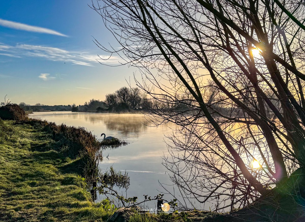 VeronicaJoPo's tweet image. Happy new week 🌤️
It looks like will be a sunny one in The Fens 🥰
Ely, Cambridgeshire 
#springishere #springtime #sunnydays