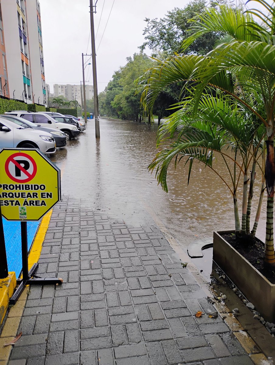 Taparcuá tweet media