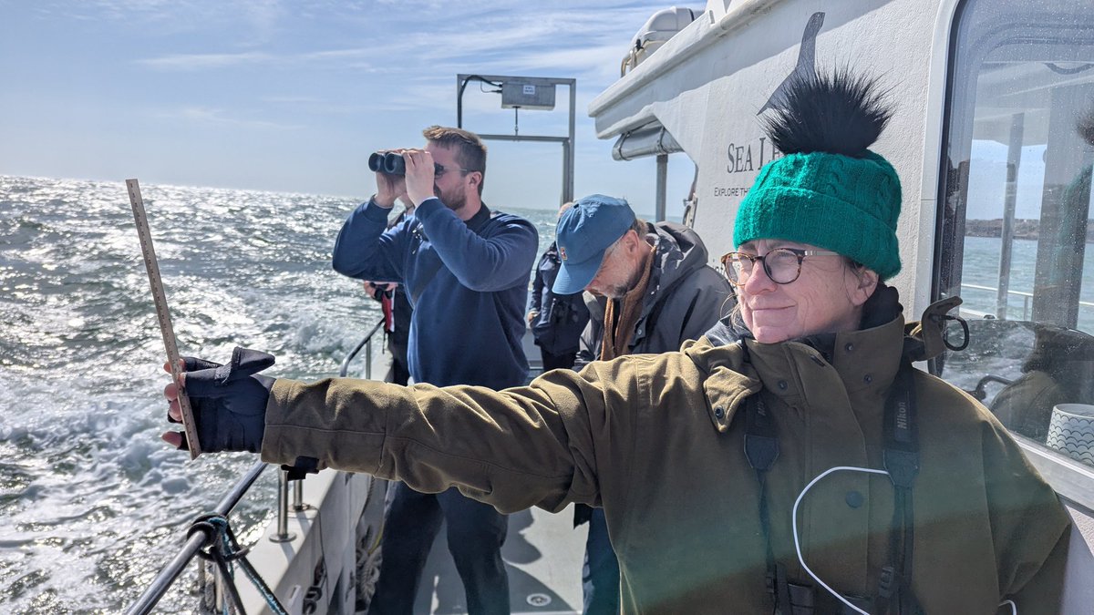 Tom Brereton (@tom_m_brereton) on Twitter photo Attended an enjoyable, full on, VSAS seabird training course over the weekend, with a choppy day on the sea Sunday producing the usual seabirds plus Puffin, Sand Martin & at Portland Harbour Great Northern Diver, Purple Sandpiper & on Saturday 2 Long-tailed Ducks <a href="/MARINElife_UK/">MARINElife</a> Attended an enjoyable, full on, VSAS seabird training course over the weekend, with a choppy day on the sea Sunday producing the usual seabirds plus Puffin, Sand Martin & at Portland Harbour Great Northern Diver, Purple Sandpiper & on Saturday 2 Long-tailed Ducks <a href="/MARINElife_UK/">MARINElife</a>