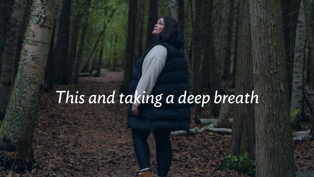 Explore the Bruce tweet media