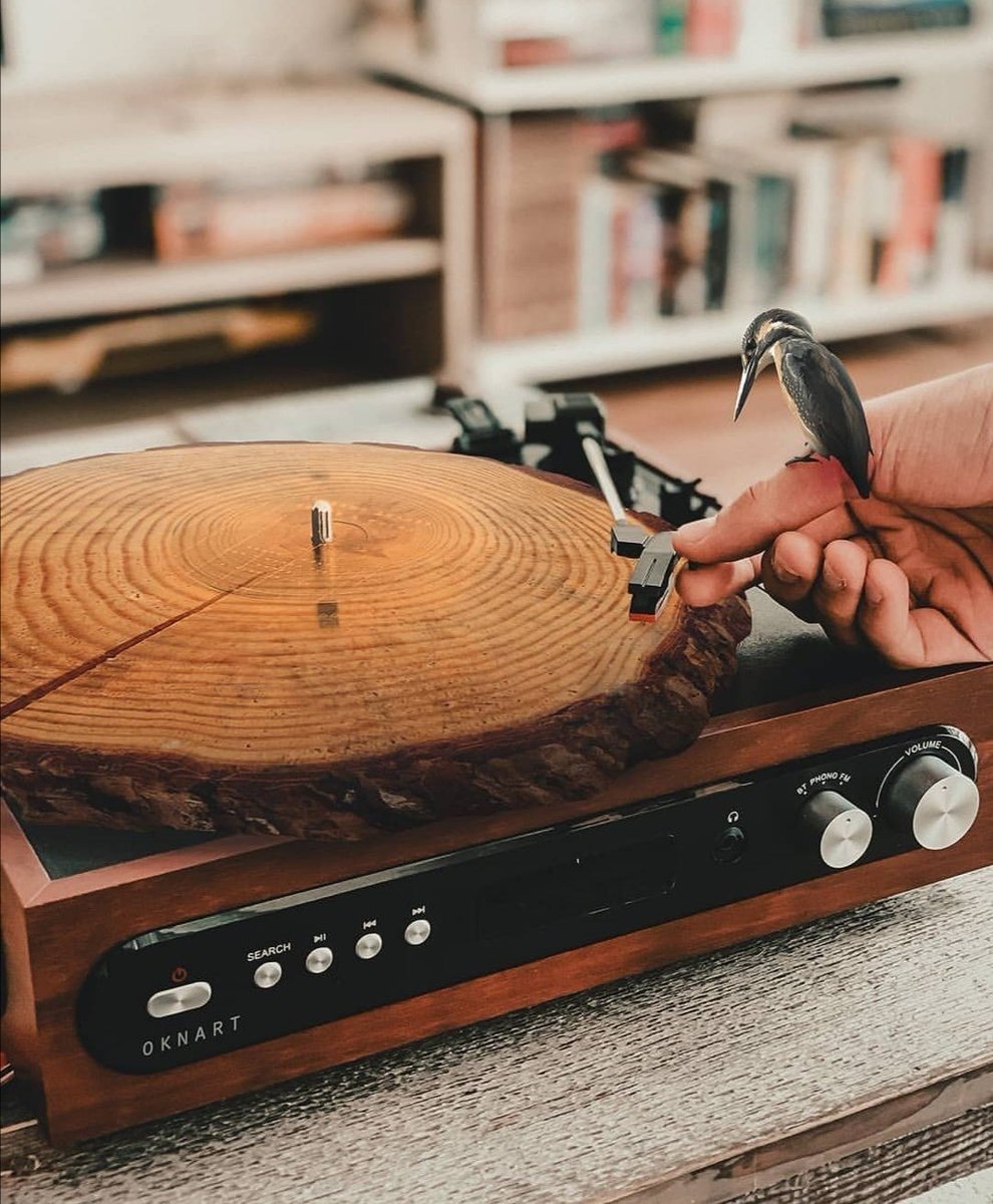 ما دمت لم تخطى بحق احد ، دع الجميع يتحدث وافعل ماتريد ..