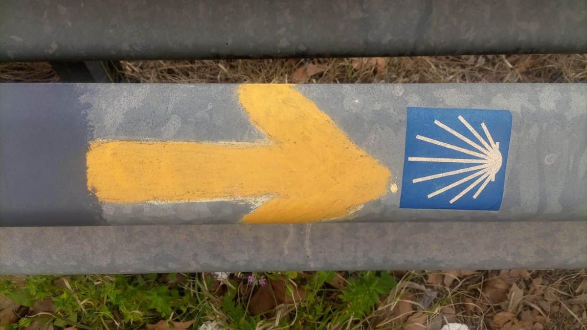 _CARITAS's tweet photo. El camino que transitan las personas sin hogar es largo y está lleno de obstáculos que superar.
110 personas de 27 Cáritas Diocesanas, entre las que se encuentran personas sin hogar, van a hacer el Camino de Santiago.
#NadieSinHogar
¡Acompaña su camino!
https://t.co/g4U1OsSG6p https://t.co/u3YvyQgZG2