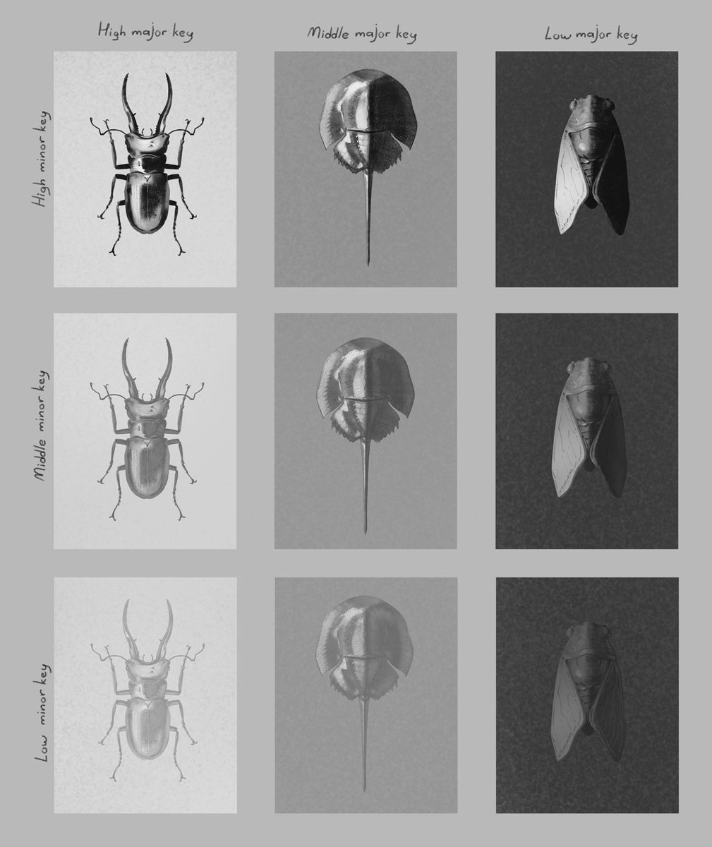 oak_andr's tweet image. lil tonal key study. should suffice for most portraits and I use it as a cheat sheet of sorts