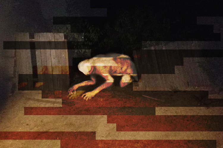 Chupeinews's tweet image. 🚨BIZARRO: Criatura anciã A̴p̶̗͑a̷̲͠l̷p̶̦̂a̵̼̓ ̴̅P̴̫̏a̷u̷̾ aterroriza moradores de Mairinque-SP.