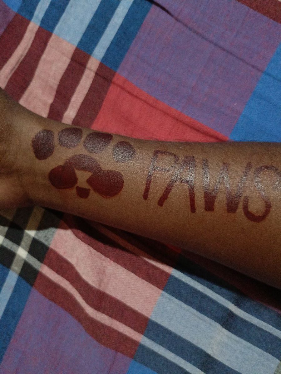 🐾🐾🐾🐾🐾😁😁