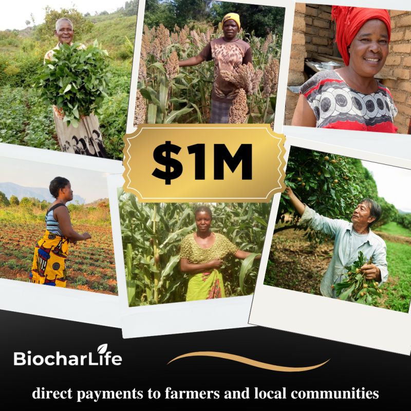 Biochar Life tweet media