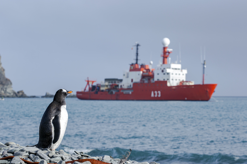El buque de investigación oceanográfica #Hespérides de la <a href="/Armada_esp/">Armada</a> recibe el 'I Premio Mares y Océanos Cortes', un reconocimiento a su labor científica en todos los mares del planeta y, en especial, en sus misiones en la Antártida. ❄️🌊🇪🇸