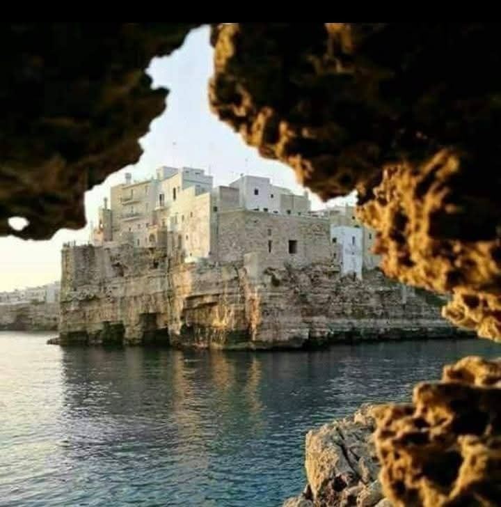 Isabella Capotorto tweet media