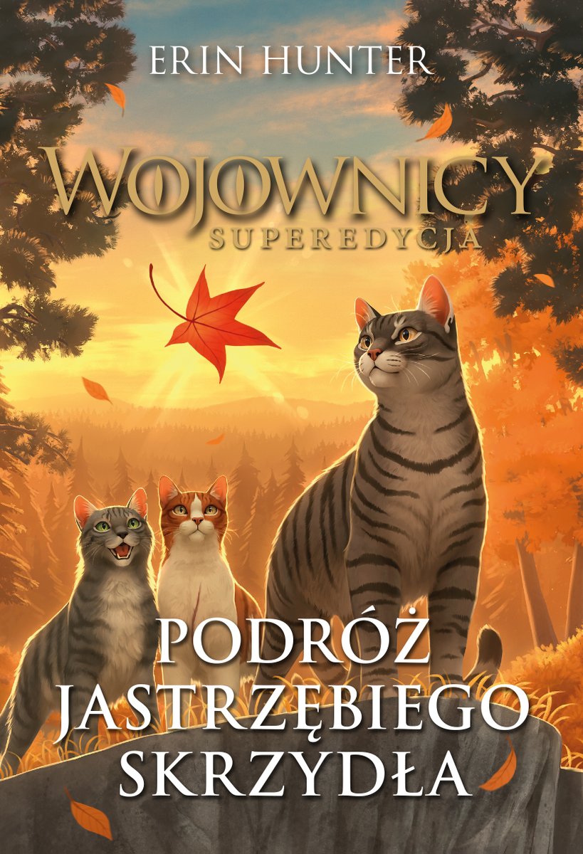 Polish Warrior Cats 🇵🇱 tweet media