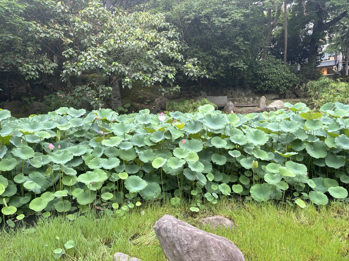 ROBINTWBOY's tweet photo. 春雨就這樣毫無徵兆地開始綿延
我想到你 想到與你初見的那個夜晚
其實我一直都沒有離開那片雨天
記憶中的埔墘一直都下著雨沒有停過
我們在屋裡同時也在雨裡
我出不去 我也不願出去

我撐著傘在街燈下等你 就這麼老套
雨聲是我在對你說 木火木
我想你 我好想你 https://t.co/mL64YBzqIr