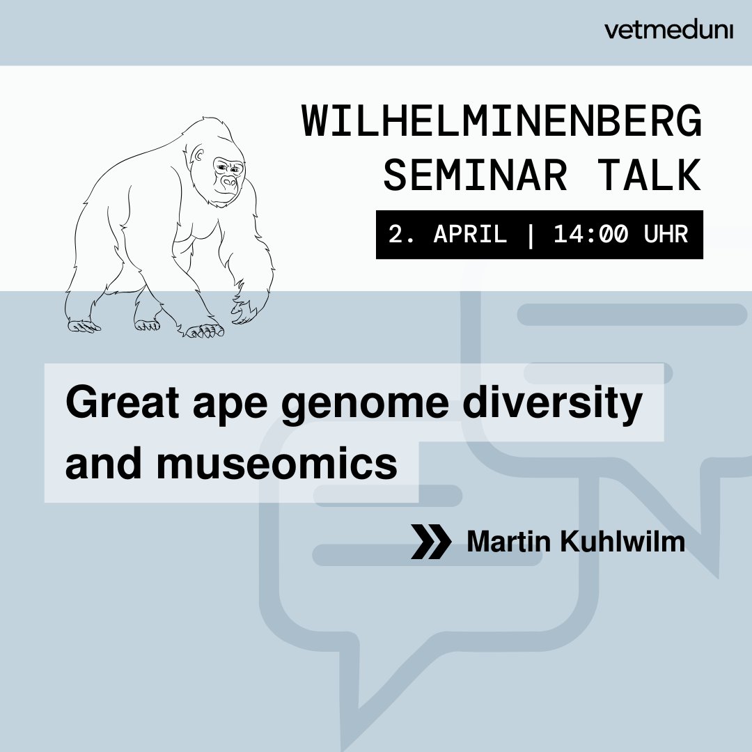 Nächster #WilhelminenbergSeminarTalk: 2.4. | 14:00 Uhr mit Martin Kuhlwilm/<a href="/univienna/">Universität Wien</a> 🦍
📍<a href="/KLIVVWien/">KLIVV Vienna</a>, 1160 Wien oder online 👩‍💻
→ vetmeduni.ac.at/fiwi/seminar-a…
📢 Tipp für Studierende: Die Teilnahme kann als Wahlfach anerkannt werden! (KV 128 804) 📢
