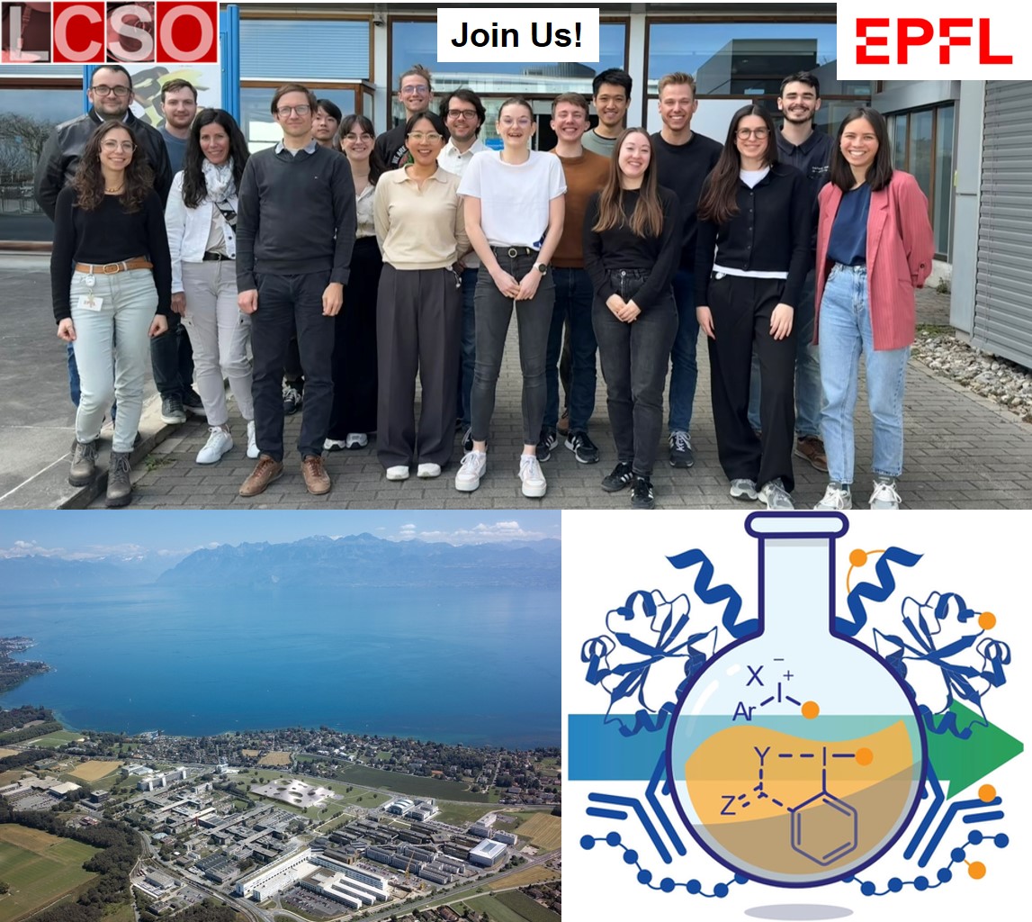 Waser Group (@lcsolab) on Twitter photo Great News: Our <a href="/snsf_ch/">Swiss National Science Foundation</a> research project "Hypervalent iodine reagents for peptide and protein modification and applications in chemical biology" has been accepted! 2 Phd and one postdoc positions are now open <a href="/LcsoLab/">Waser Group</a> For more details to apply, See:
epfl.ch/labs/lcso/grou… Great News: Our <a href="/snsf_ch/">Swiss National Science Foundation</a> research project "Hypervalent iodine reagents for peptide and protein modification and applications in chemical biology" has been accepted! 2 Phd and one postdoc positions are now open <a href="/LcsoLab/">Waser Group</a> For more details to apply, See:
epfl.ch/labs/lcso/grou…