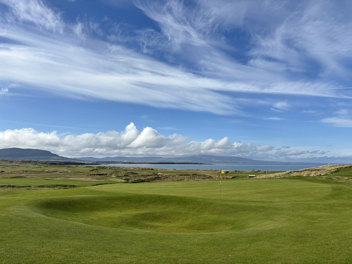 Stu Sheridan tweet media