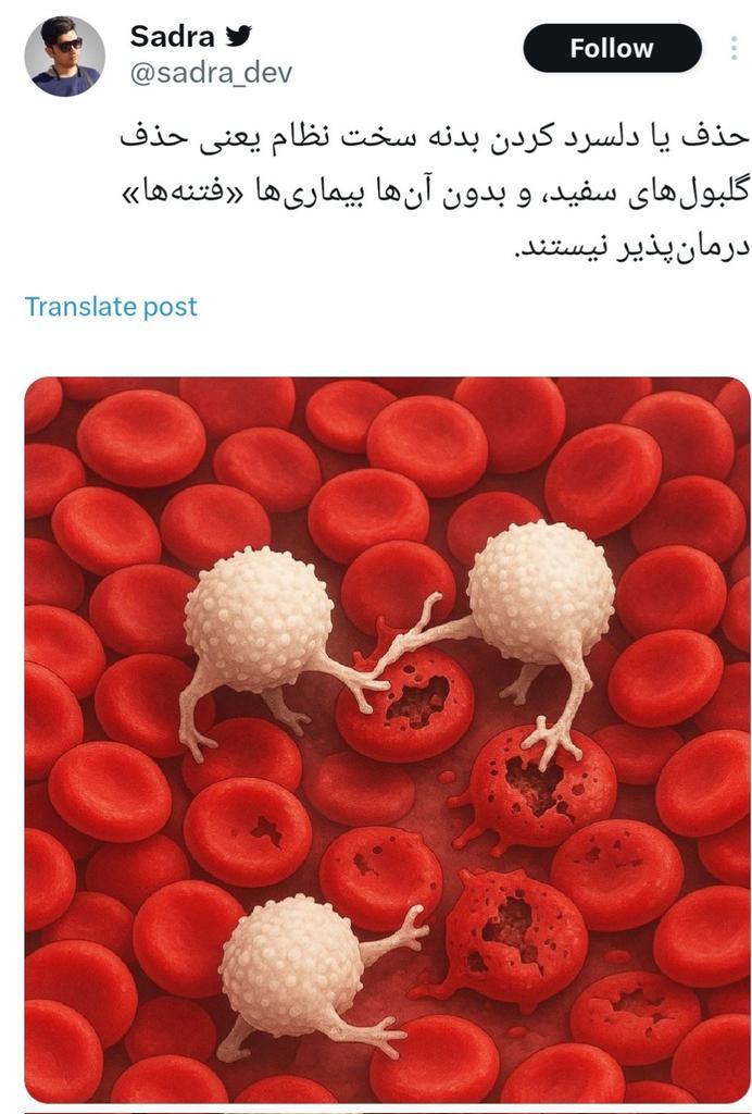 میگن حذف گلبول‌های سفید یعنی از بین بردن توان دفاعی بدن، ولی یادشون رفته که وقتی بدن به خودش حمله کنه، اسمش بیماری خودایمنیه! شما مشکل رو حل نمی‌کنید، دارین سیستم رو به جان خودش میندازید.
