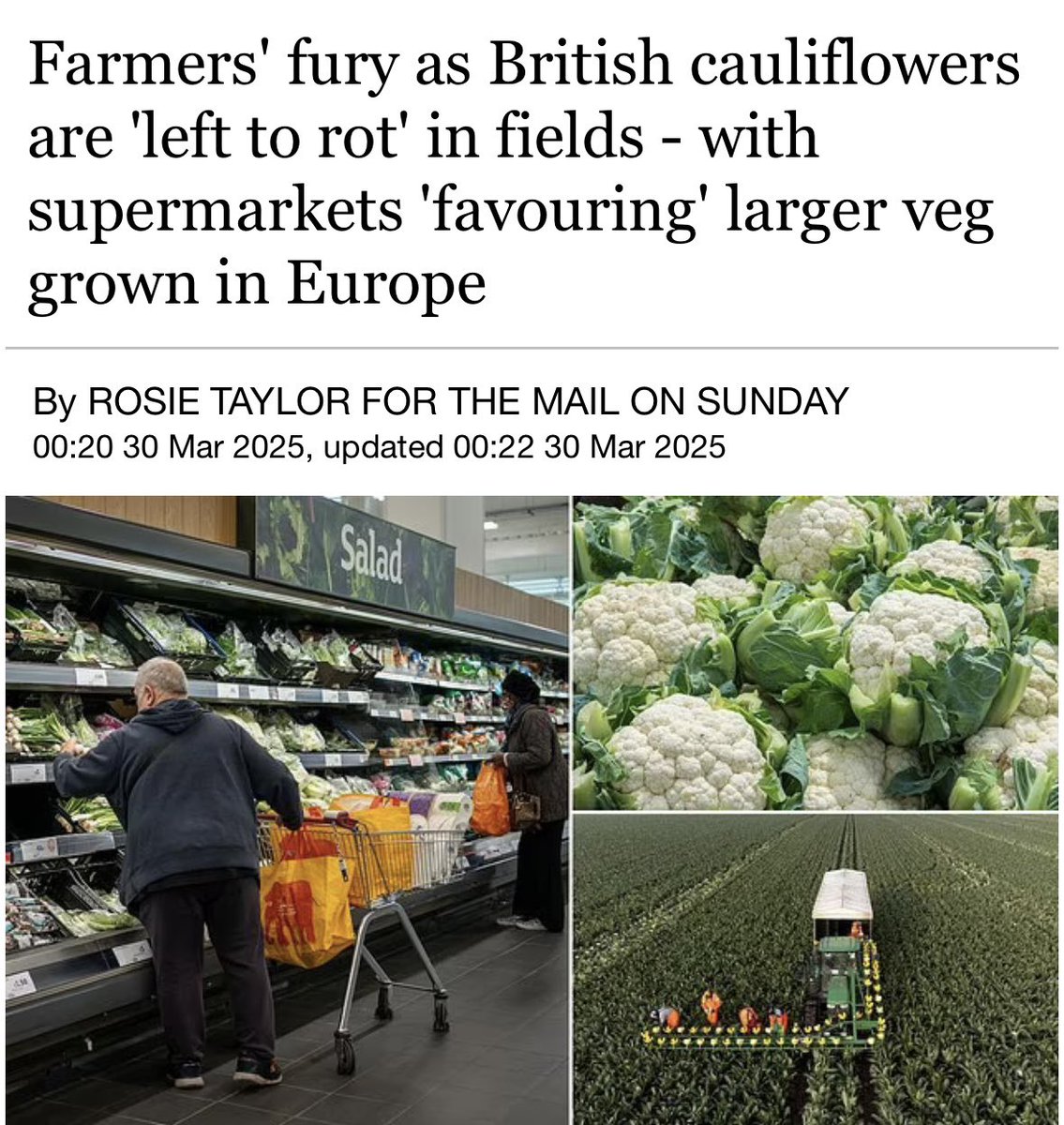 British cauliflowers are being 'left to rot' in fields while supermarkets ship in the vegetables from Europe. The supermarkets are being accused of hypocrisy for publicly stating they support British farmers while importing goods from overseas.
